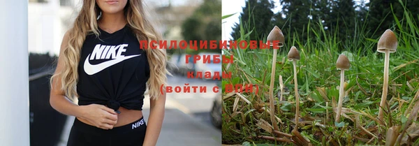 дурь Балабаново