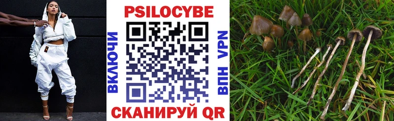 Псилоцибиновые грибы мухоморы  купить наркоту  Геленджик 