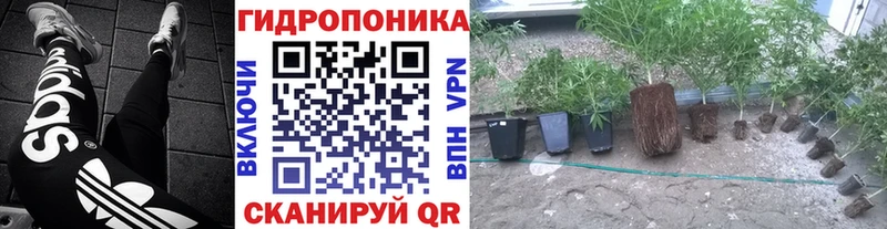 купить   Геленджик  Бошки Шишки Bruce Banner 